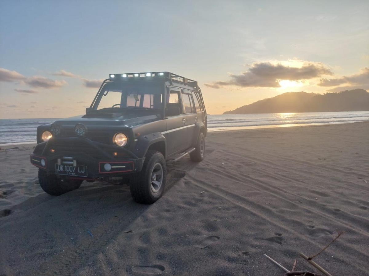 Adventure Turtle Homestay Meru Betiri Sarungan Exterior foto