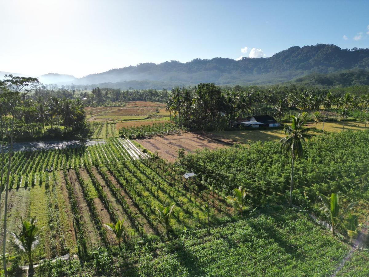 Adventure Turtle Homestay Meru Betiri Sarungan Exterior foto