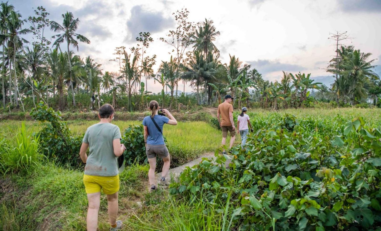 Adventure Turtle Homestay Meru Betiri Sarungan Exterior foto