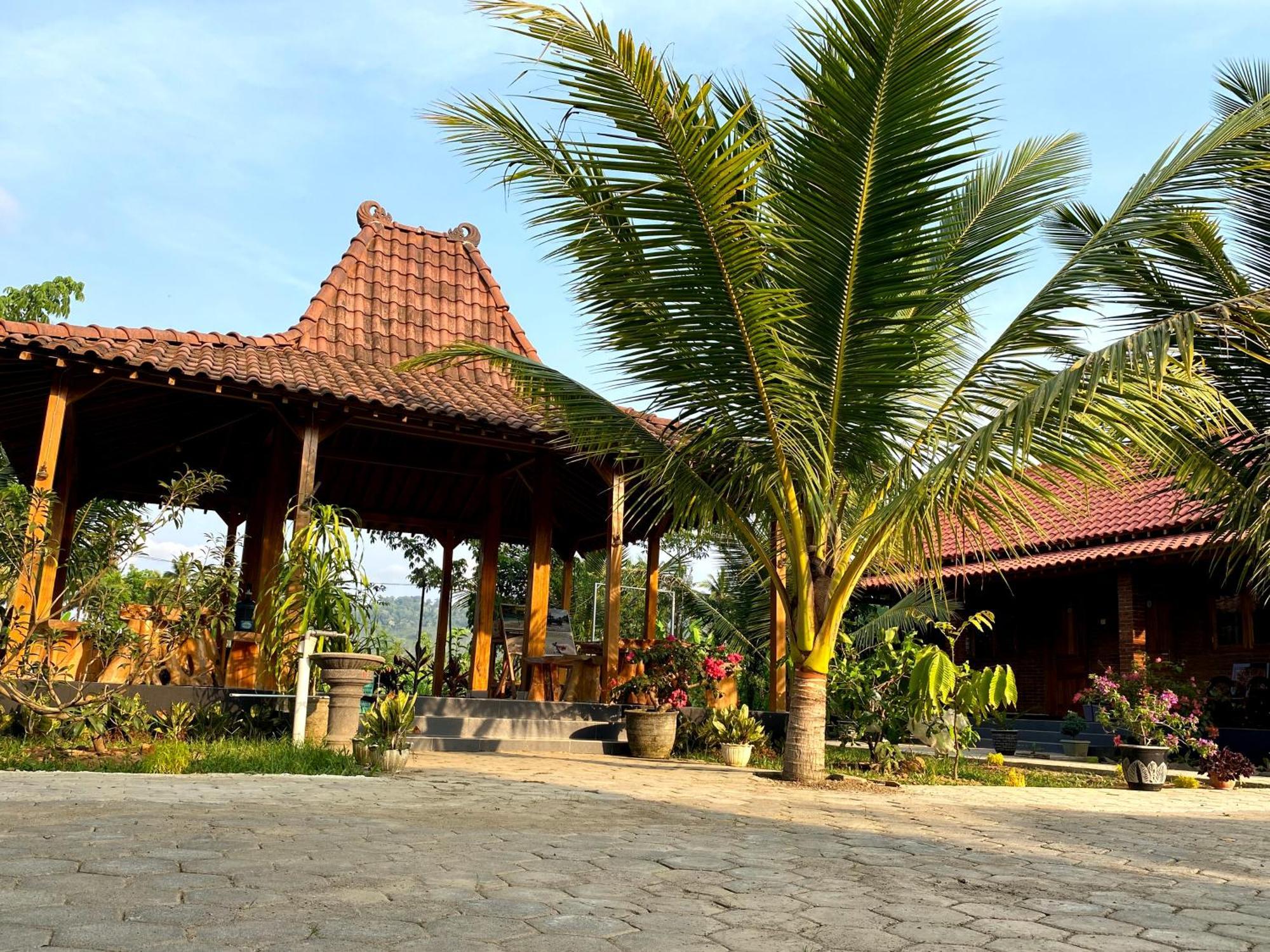 Adventure Turtle Homestay Meru Betiri Sarungan Exterior foto